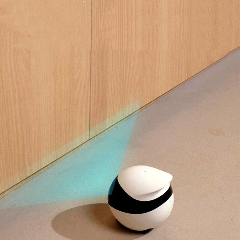 Autonomous Mobile Pet Camera Robot