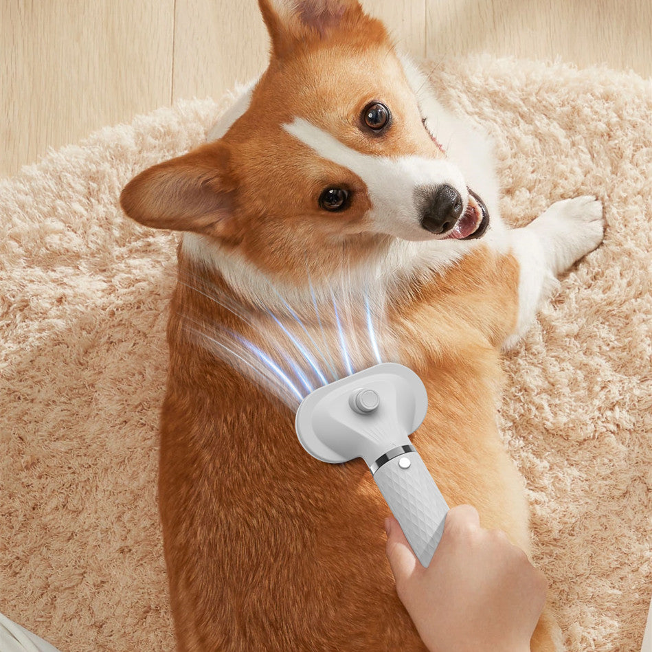 Portable 2-in-1 Pet Hair Dryer & Slicker Brush