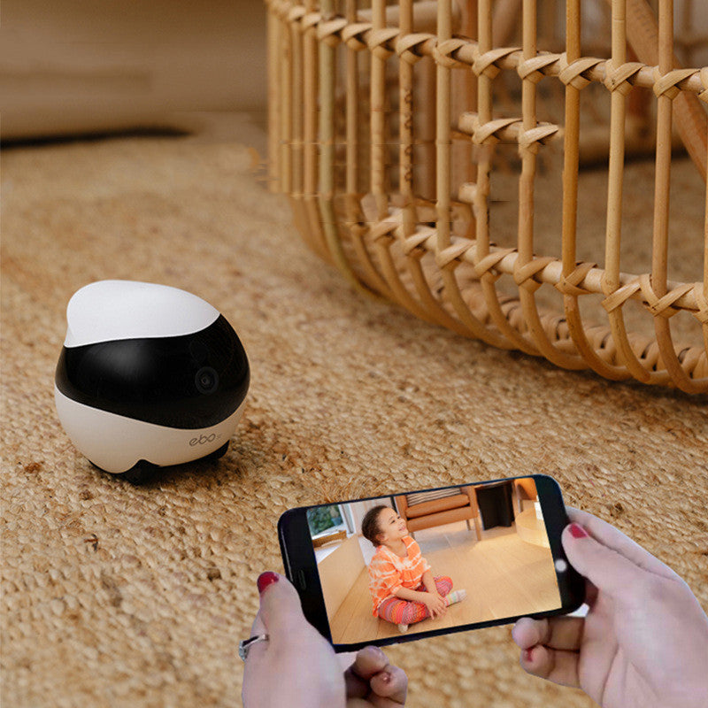 Autonomous Mobile Pet Camera Robot